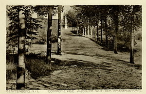 Senftenberg